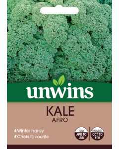 Kale Afro Seeds