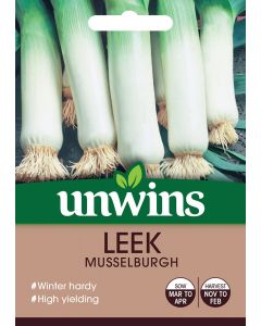 Leek Musselburgh Seeds