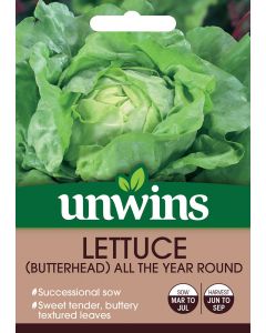 Lettuce (Butterhead) All The Year Round Seeds