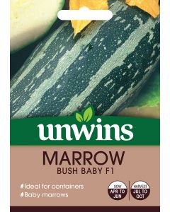 Marrow Bush Baby F1 Seeds
