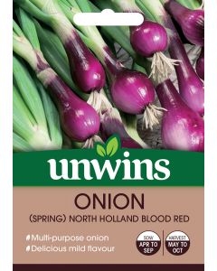 Onion Spring Holland Blood Red Seeds