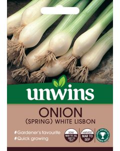 Onion Spring White Lisbon Seeds
