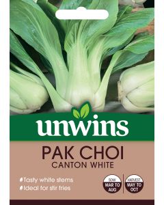 Pak Choi Canton White Seeds