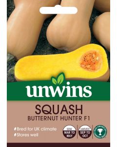 Squash (Butternut) Hunter F1 Seeds