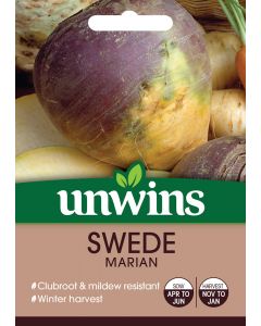 Swede Marian Seeds