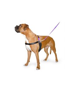 Ancol Pdl Dog Harness & Lead - Medium (54cm - 73cm)