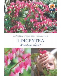 Dicentra Bleeding Heart Bare Roots - Lifestyle Perennial Collection