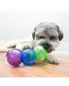 KONG Lock-It Dog Toy - Small - Multi Coloured - 3 Pack