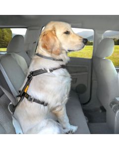 Kurgo Tru-Fit Smart Harness C/W Seatbelt Tether - Medium - Black - 11.3kg - 22.5kg