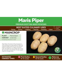 Jamieson Brothers Premium Scottish Maris Piper Seed Potatoes - Main Crop