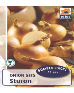 De Ree Sturon Onion Sets - Pack of 50