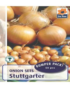 De Ree Stuttgarter Onion Sets - Pack of 50