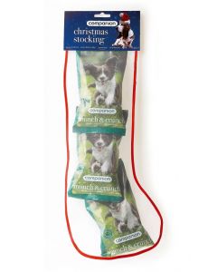 Companion Christmas Dog Treat Stocking