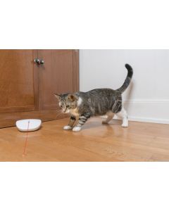 PetSafe Laser Tail Automatic Laser Light Cat Toy