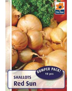 De Ree Red Sun Shallot Sets - pack of 10
