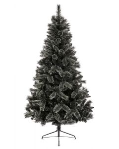 Premier Black Tipped Fir Christmas Tree - 1.8m