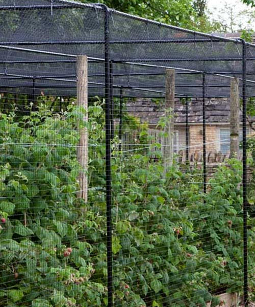 Garden Netting & Frost Protection