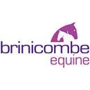 Brinicombe